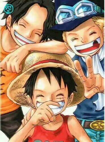 海贼王〖艾斯三兄弟