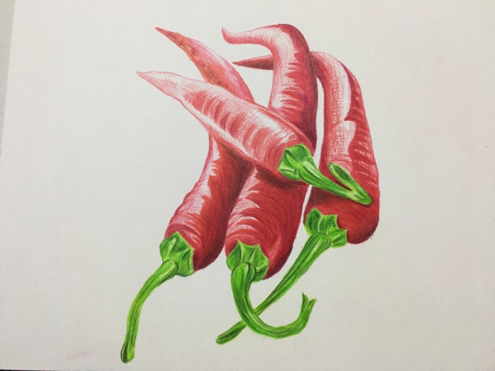辣椒 彩铅 儿童美术