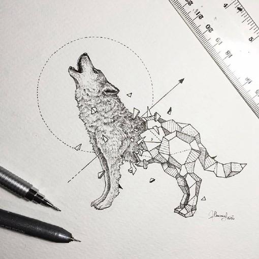 2017年8月26日 18:54   关注  手绘 插画 动物 评论帐詹 