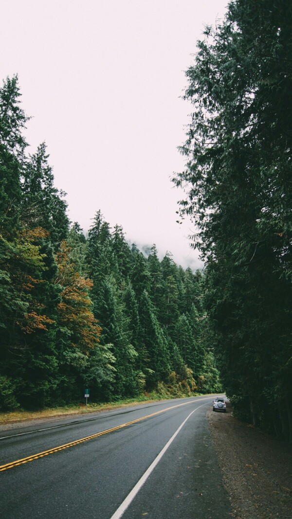 说说配图 主页图 背景图 锁屏壁纸 桌面壁纸 森