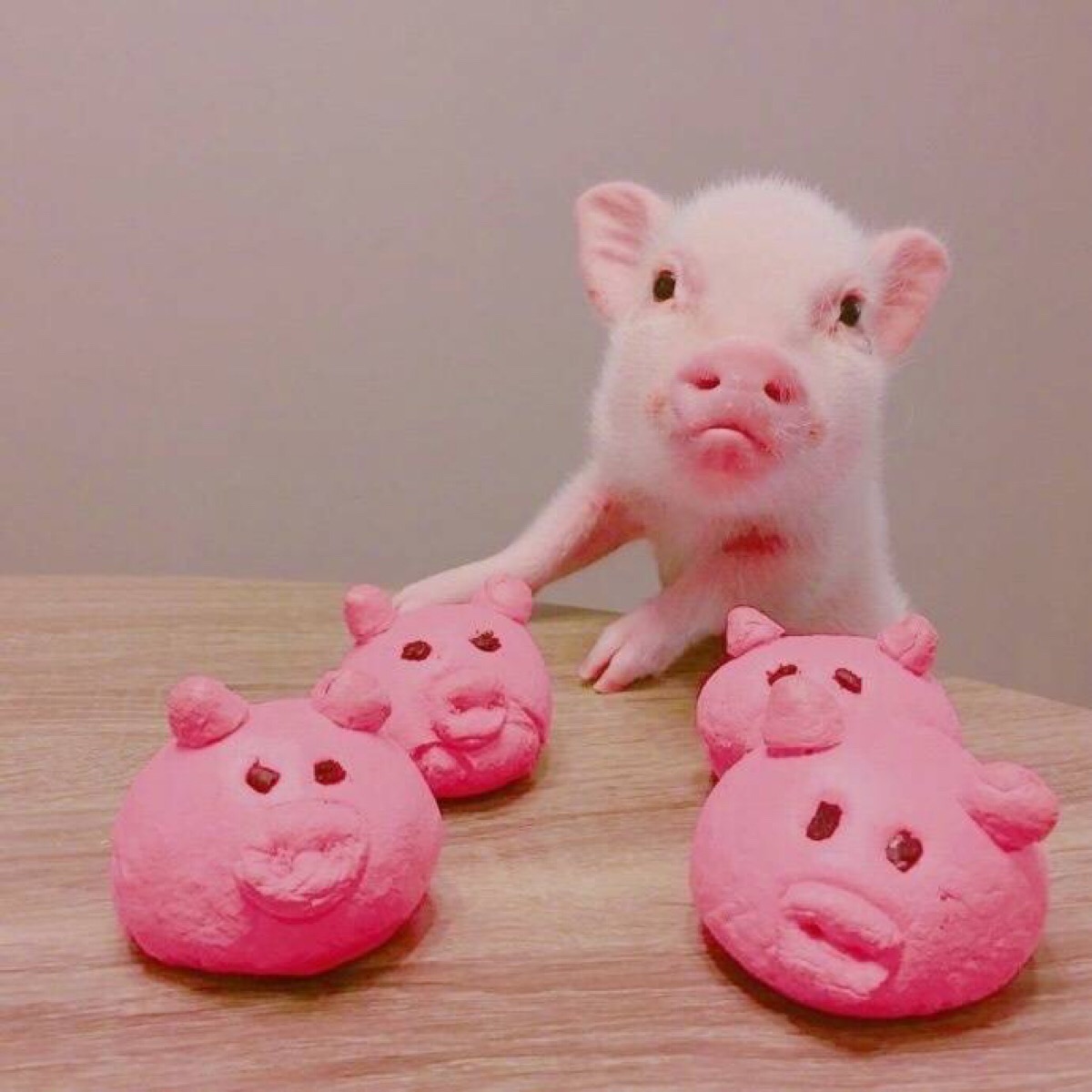 粉色可爱小猪头像