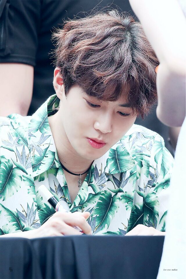 exo 金俊勉 suho