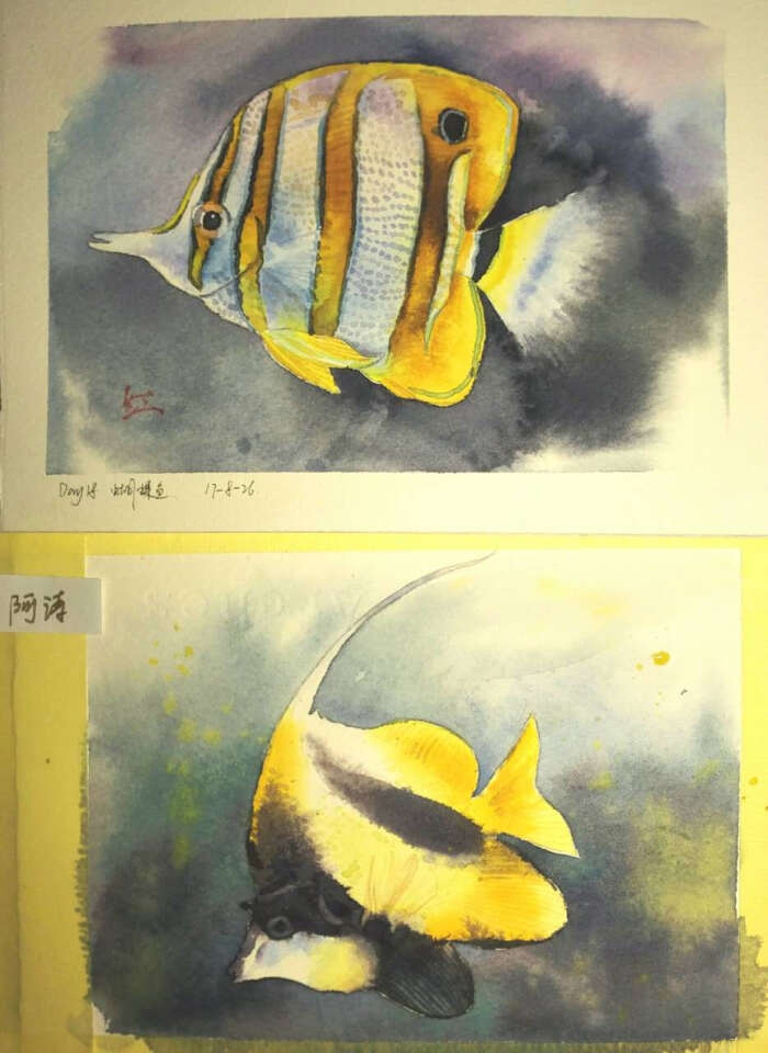 热带鱼水粉画图片