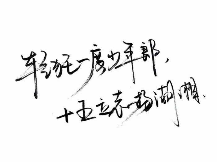 一个网如有雷同纯属巧合