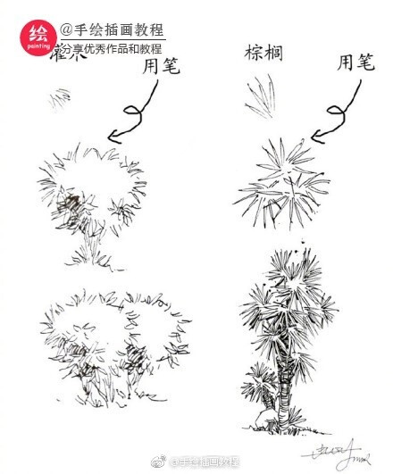 20种植物的手绘速写技法 最短时间绘出一个风景速写或景观设计图