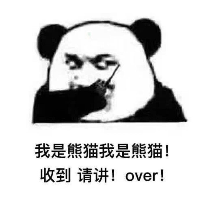 金表情熊猫馆长-堆糖,美好生活研究所搞笑图片卡通的热关于图片