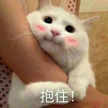 超可爱 猫 抱住 萌 表情包 多读书 厉害了 文字系列 搞笑 gif 暴走