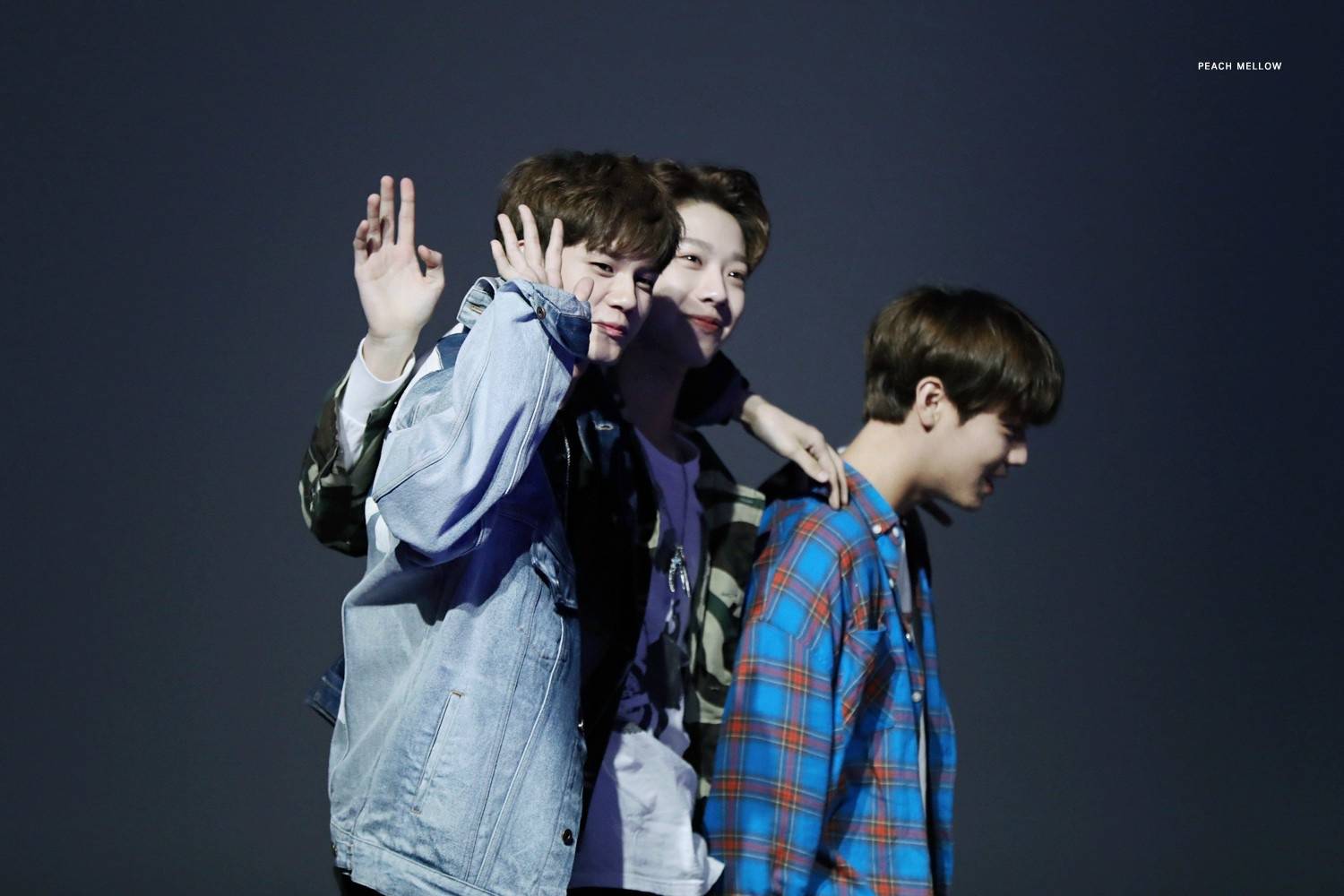 男版produce101 wanna·one 赖冠霖 朴志训 邕圣佑 cr.logo