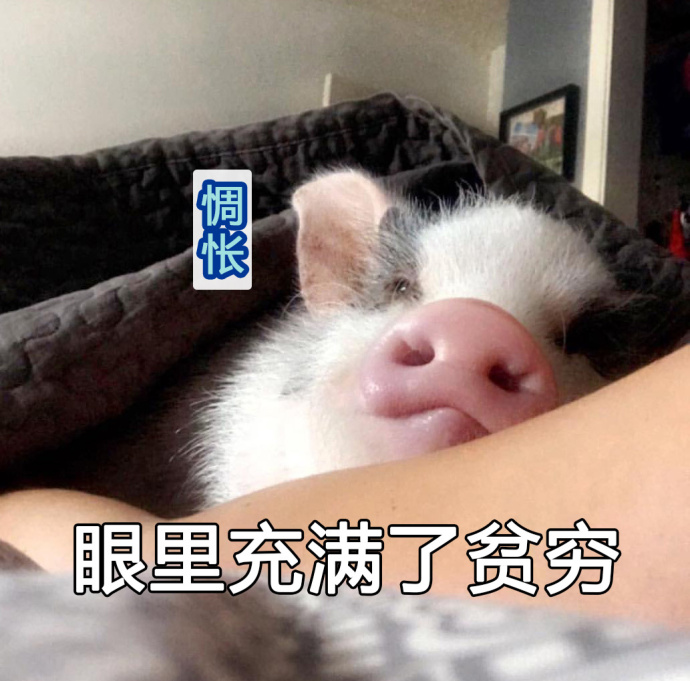 二师兄的表情