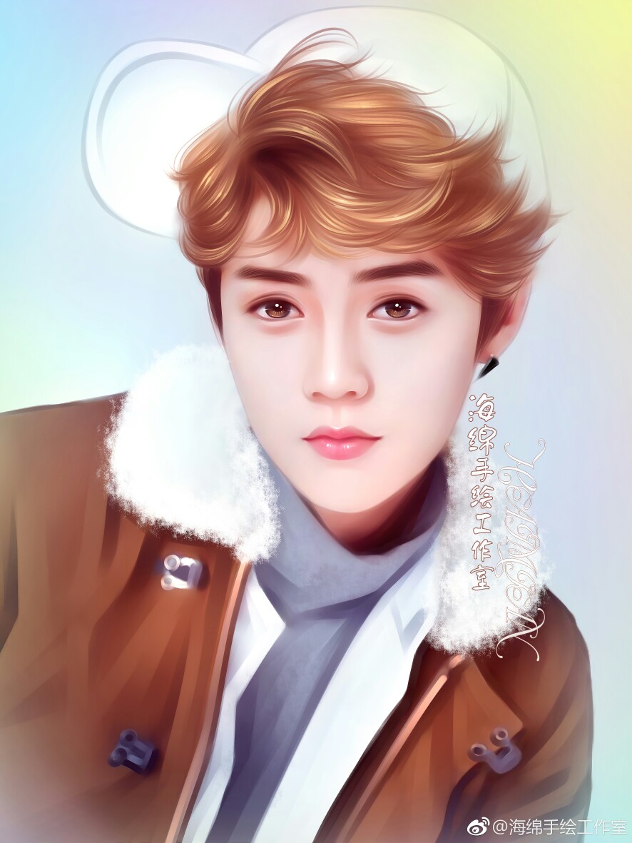 鹿晗〔海绵手绘工作室