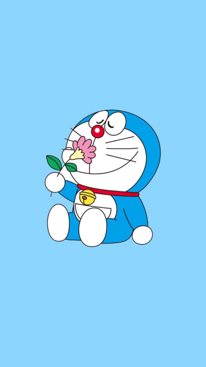 蓝胖子 
