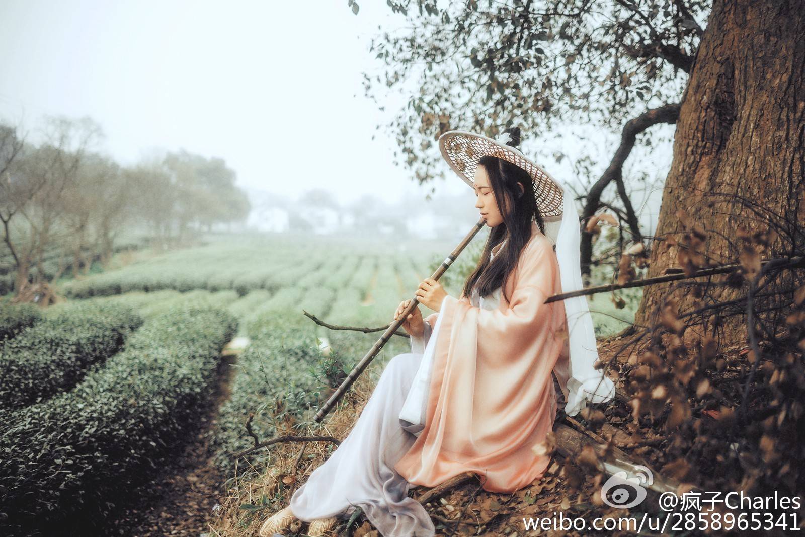 小憩弄箫声,新翠已婷婷.茶美莫如明前绿,清香醉新蜜.