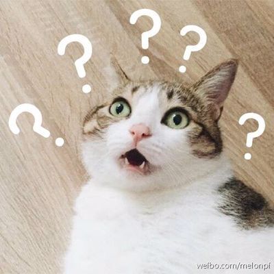 喵星人表情喵喵喵?动画包表情随心所欲图片
