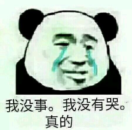 表情包"我没事 我没有哭 真的"