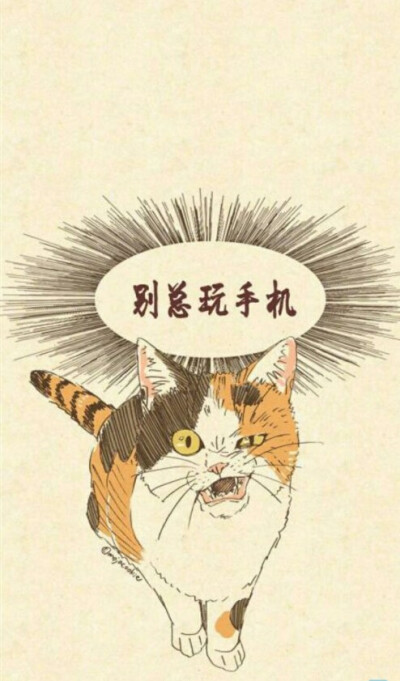 猫 套图 壁纸 搞笑 可爱