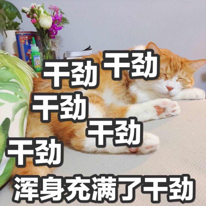 表情圈票圈朋友图搞笑年轻说的自己微博配图不定期v表情图片