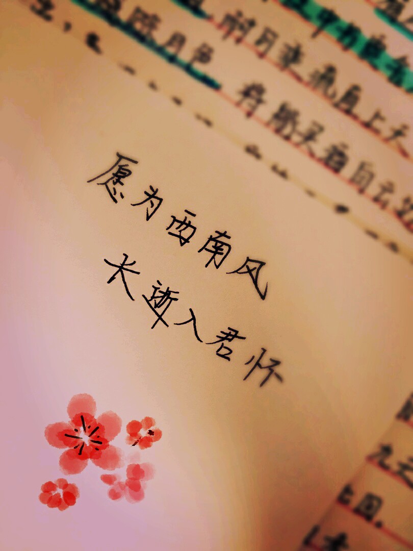 愿为西南风,长逝入君怀.