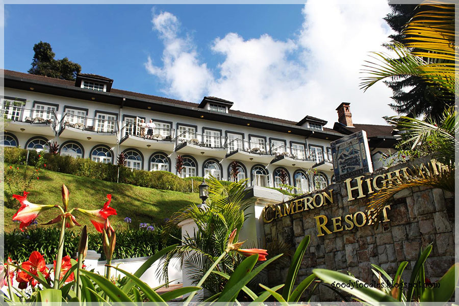 cool highland, pahang, cameron highland 马来西亚半岛,彭亨州属