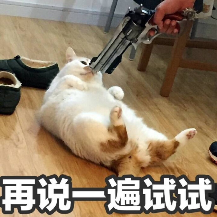别问我最想撸表情娘,帧帧图片,怕…-堆免费下载楼板包表情喊话图片
