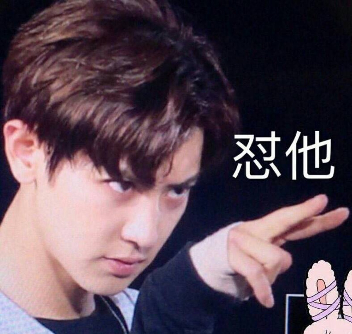 exo表情包