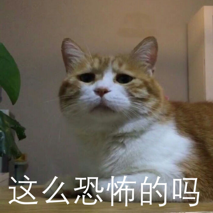 日日蔬菜表情能吃新鲜仓鼠么图片