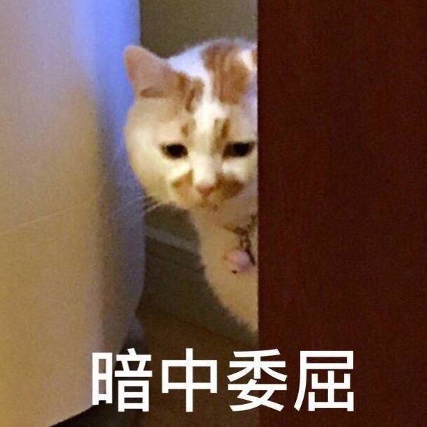 楼楼表情包!为我楼打call!