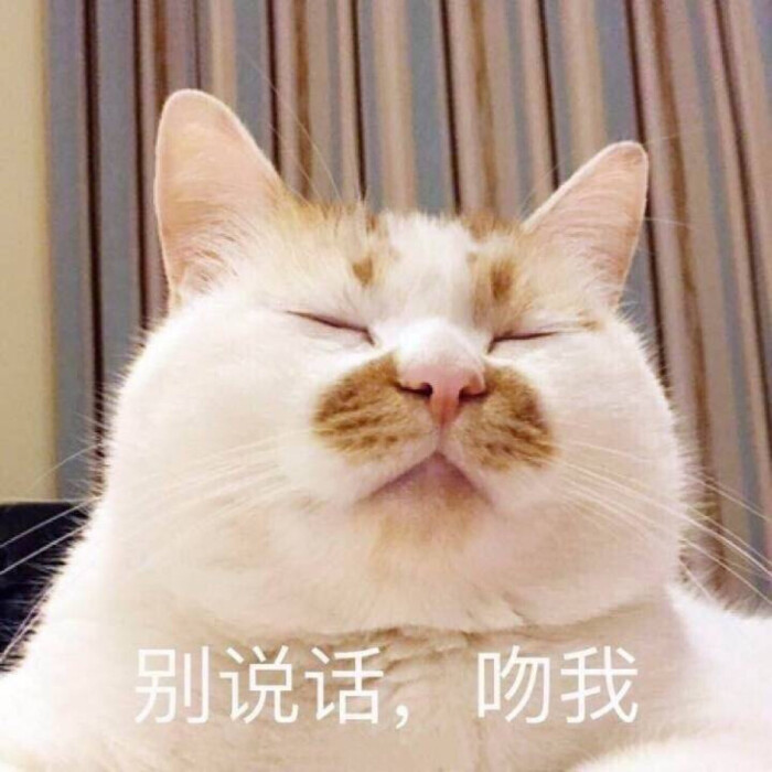 "合集一波"猫猫表情包,贱萌或可爱,陪你搞怪或深爱.