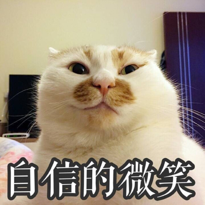 表情自信的祝福搞笑微笑图立夏的图片