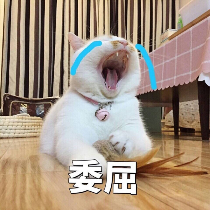 表情委屈抖音食屎表情包图片