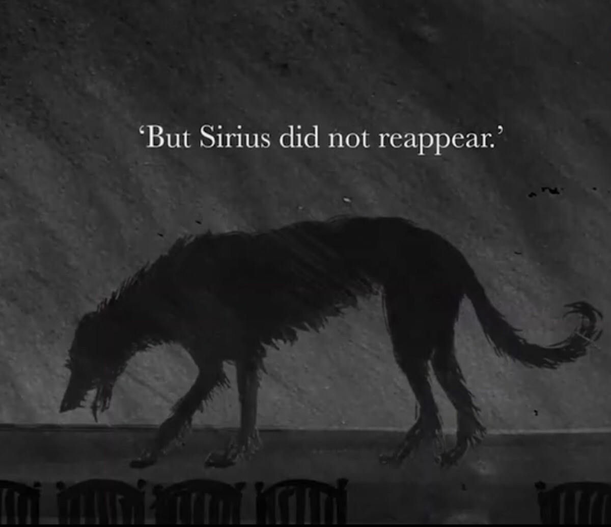 但是,小天狼星并没有从帷幔那边走出来