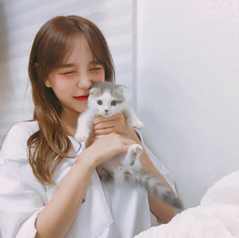 fn—女生头像长发韩系抱猫