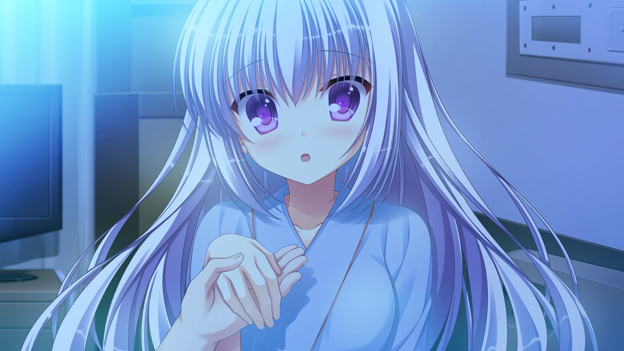 galgame d.s. -dal segno