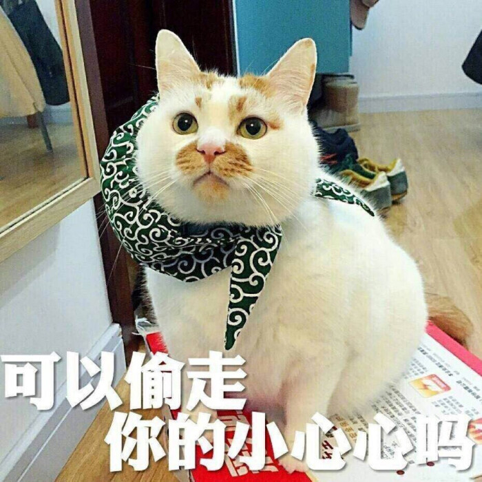 小心你的偷走心猫仙子紫霞表情眨眼动态表情图片