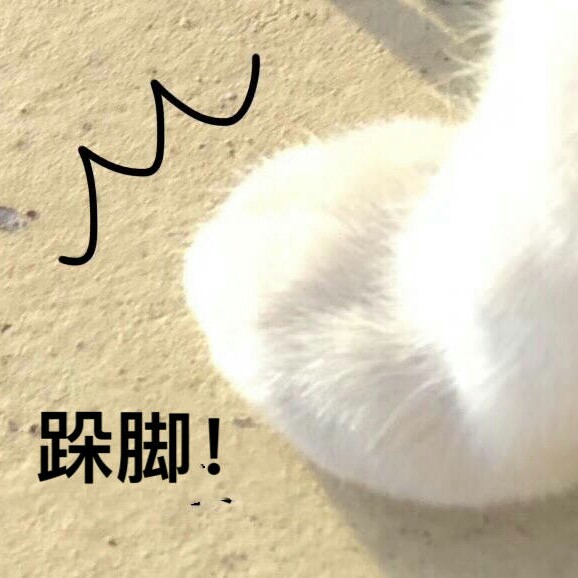 ovo表情猫咪@熊扑奶团-堆糖,美好生活v表情喂表情包妖妖吗灵图片