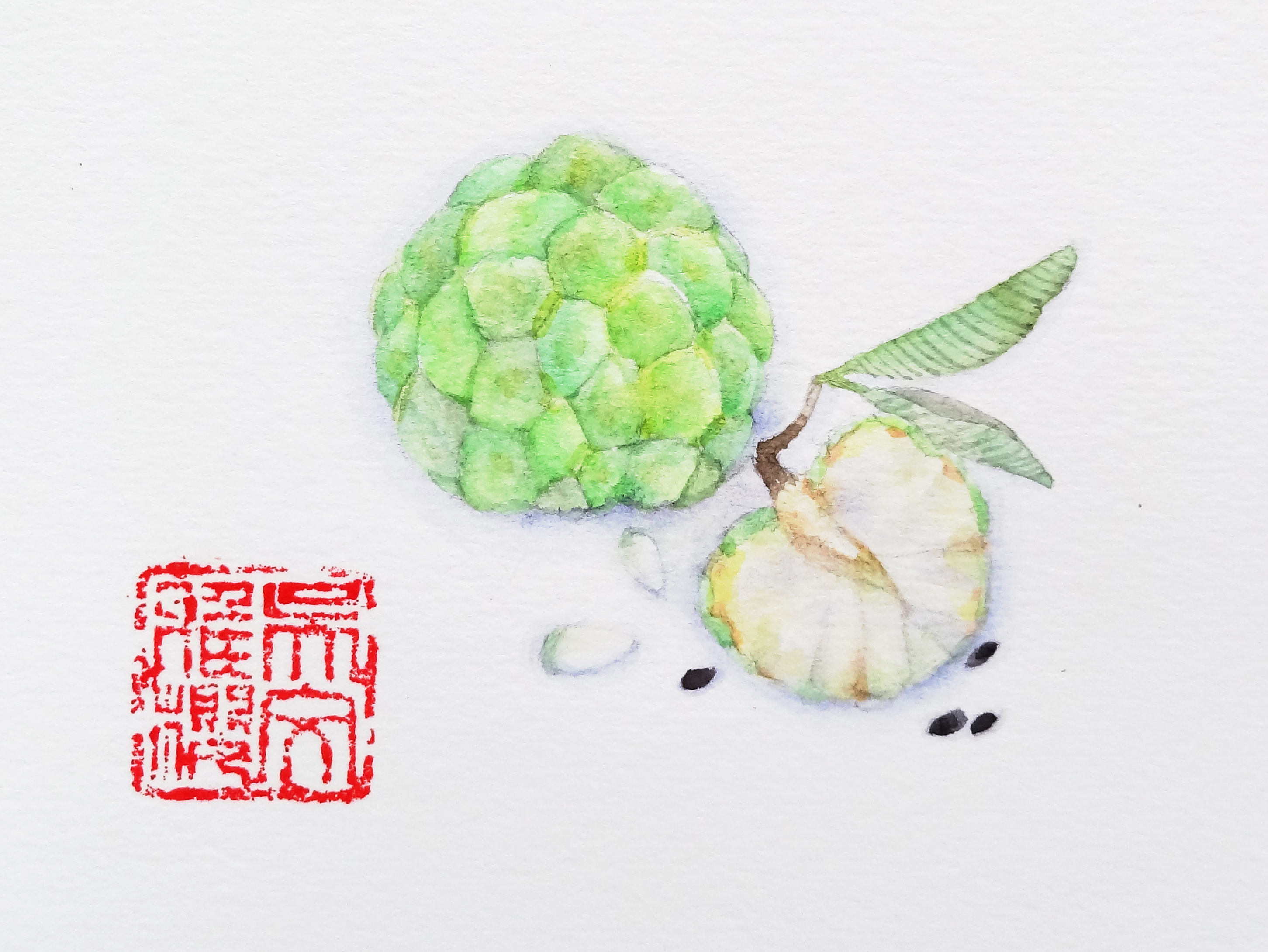 番荔枝 