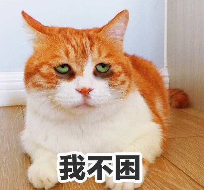 表情喵星人系列我不困-堆糖,美好生活研究所上海话表情文字包图片