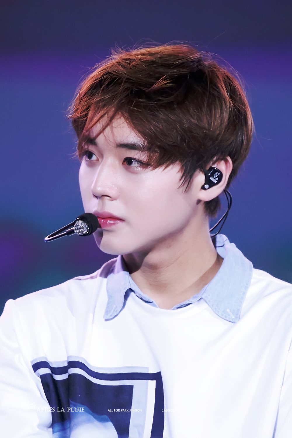 朴志训 wanna·one cr.logo