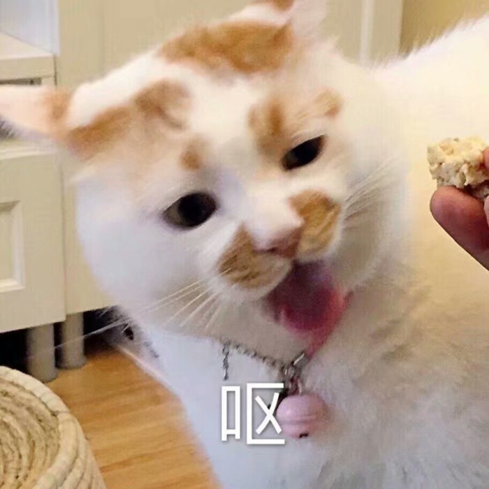 神也会眼红-表情包
