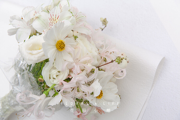8.扎紧电池,根部花束玻璃纸,花束v电池纸包包裹白色箱c8图片