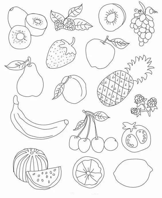 水果种类简笔画图片