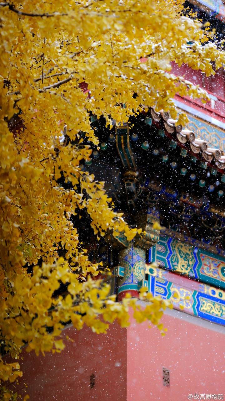 夕阳 晨光 唯美 复古 lome 壁纸 头像