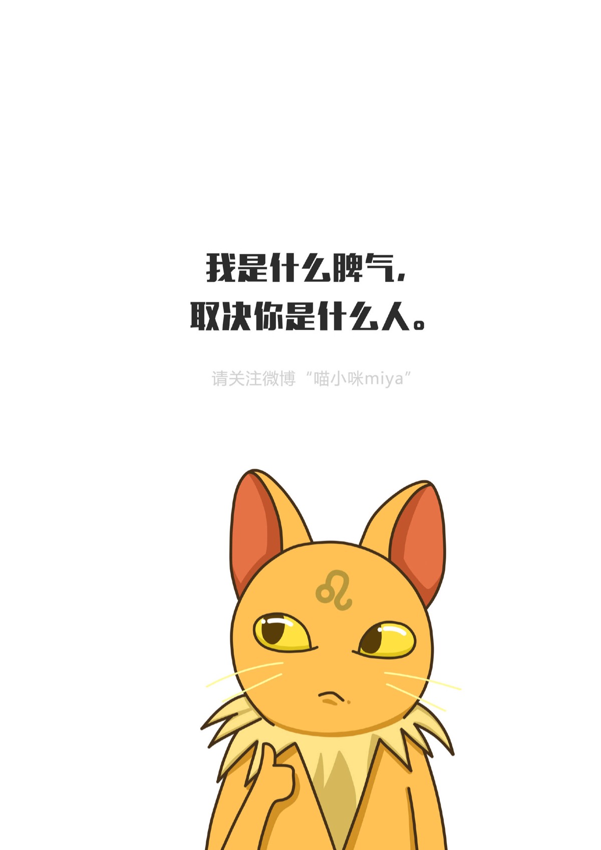 喵小咪的大实话
