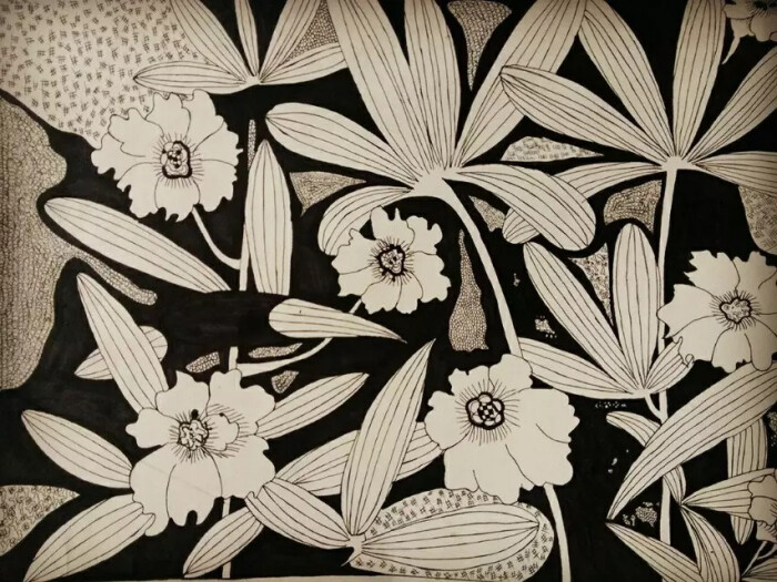 黑白线描画