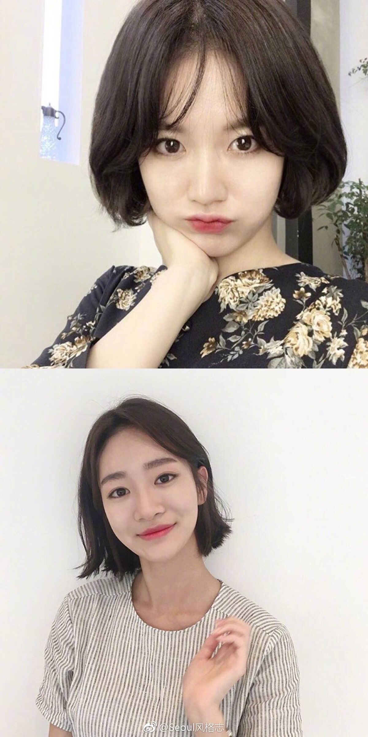 发型参考# 短发发型 慵懒微卷发