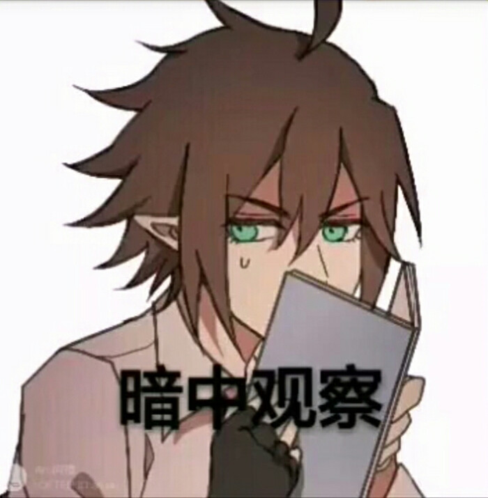 修