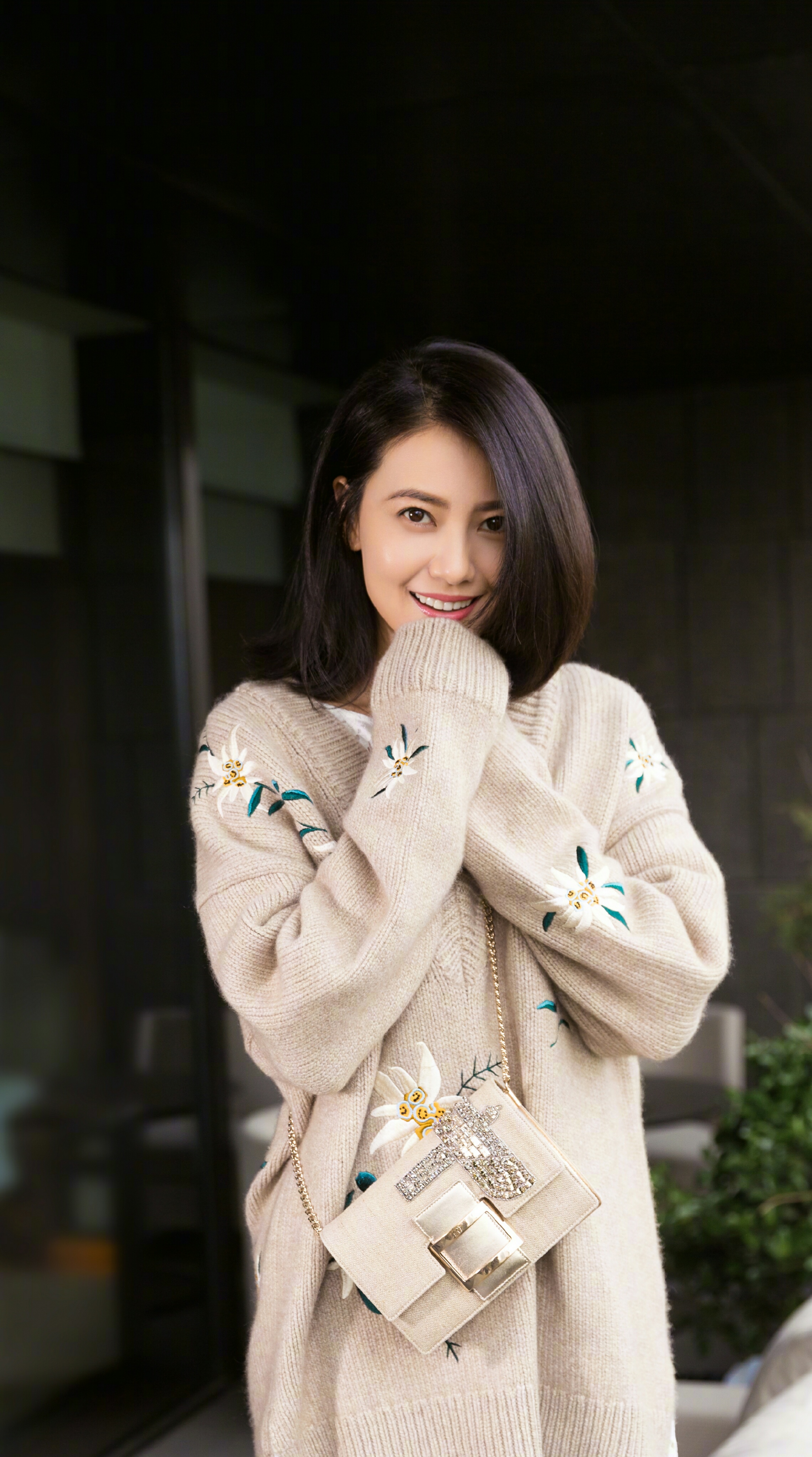 高圆圆 壁纸