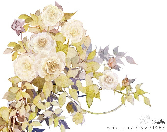 手绘古风花画师:容境