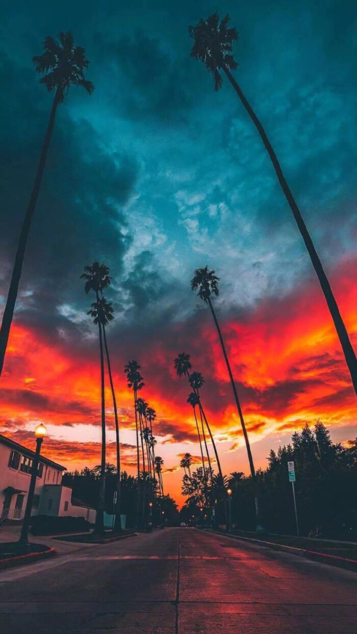手机壁纸 风景