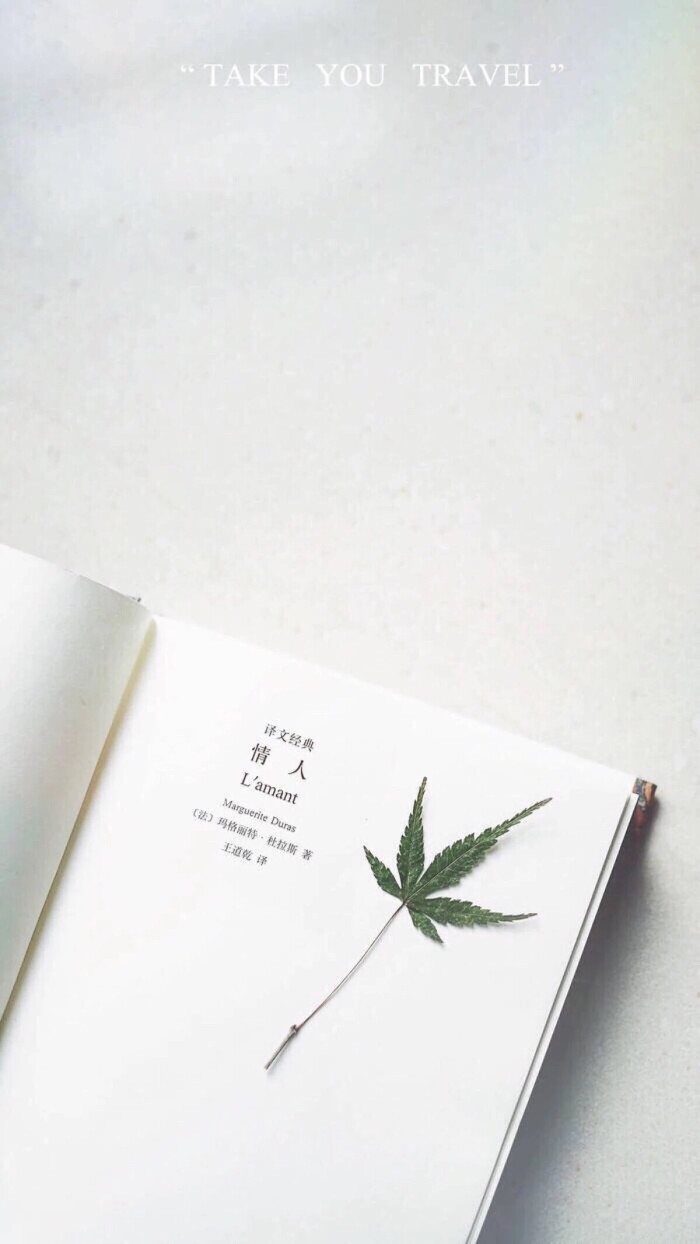 秋高气爽,简约冷淡风爱壁纸平铺锁屏可爱小清新