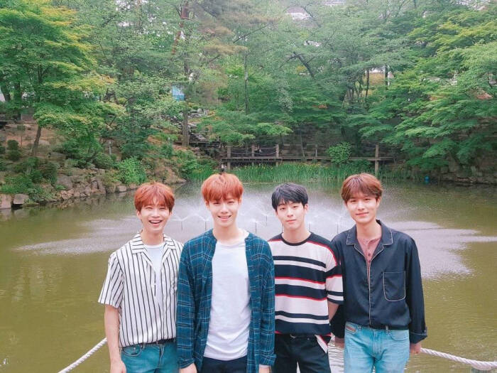 honeyst